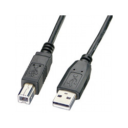 USB type A/type B cable