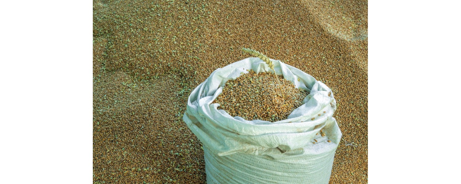 Wagi w rolnictwie i gospodarstwach hodowlanych – jak ułatwiają kontrolę zbiorów, nawozów i pasz